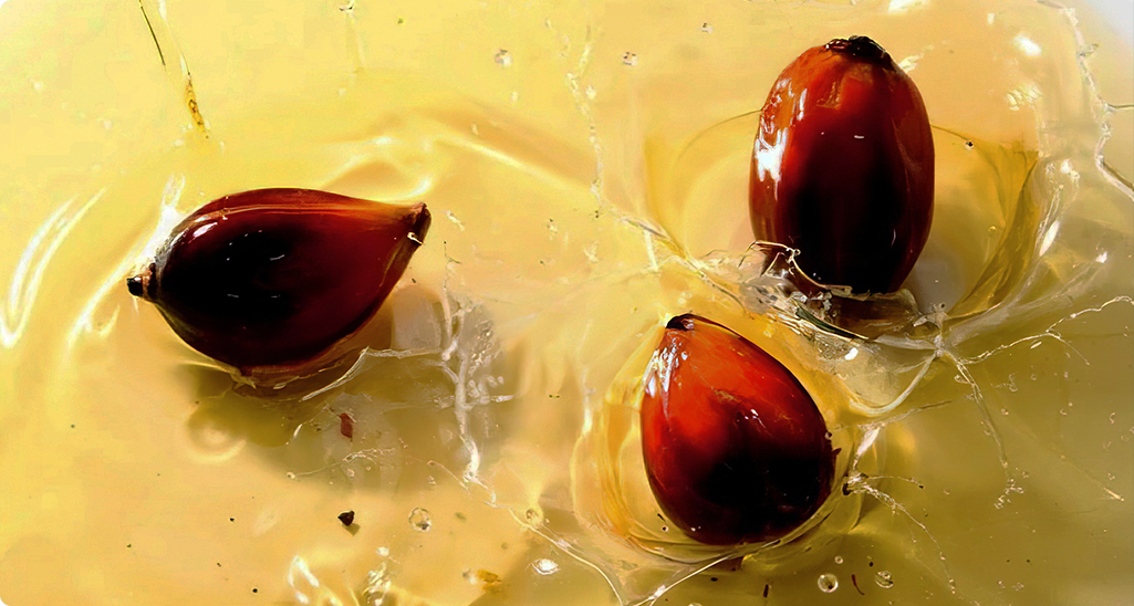 Новый ГОСТ на пальмовое масло: что изменилось и почему это важно